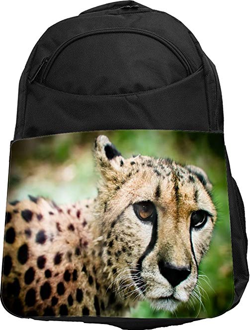 Rikki Knight UKBK Cheetah Tech Backpack - Padded for Laptops & Tablets Ideal for School or College Bag Backpack