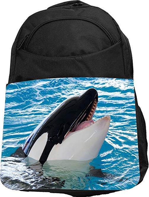 Rikki Knight UKBK Smilling Killer Whale Close-Up Tech Backpack - Padded for Laptops & Tablets Ideal for School or College Bag Backpack